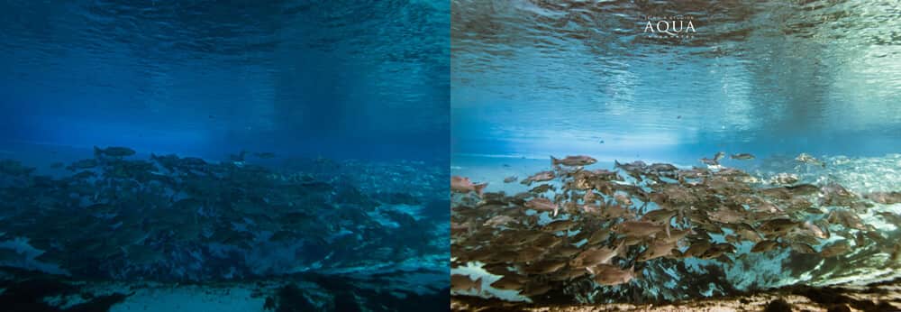 Photo from the article “Color Conversations with Jennifer Tallerico”