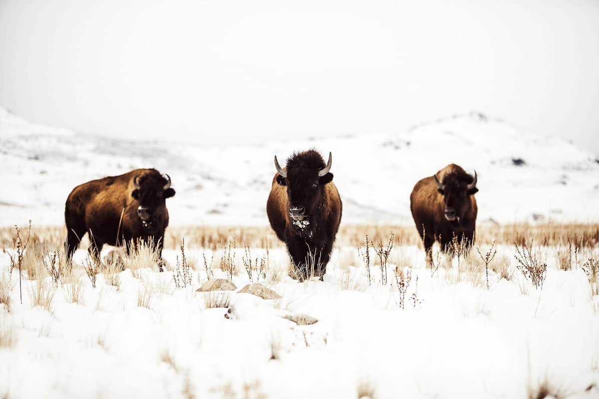Photo from the article “Creative Conversations with Adventure Photographer Kyle S. Ford”