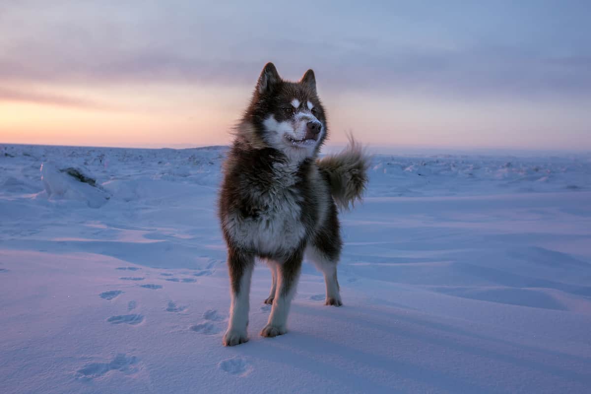 Photo from the article “Creative Conversations with Landscape Photographer Curtis Jones”