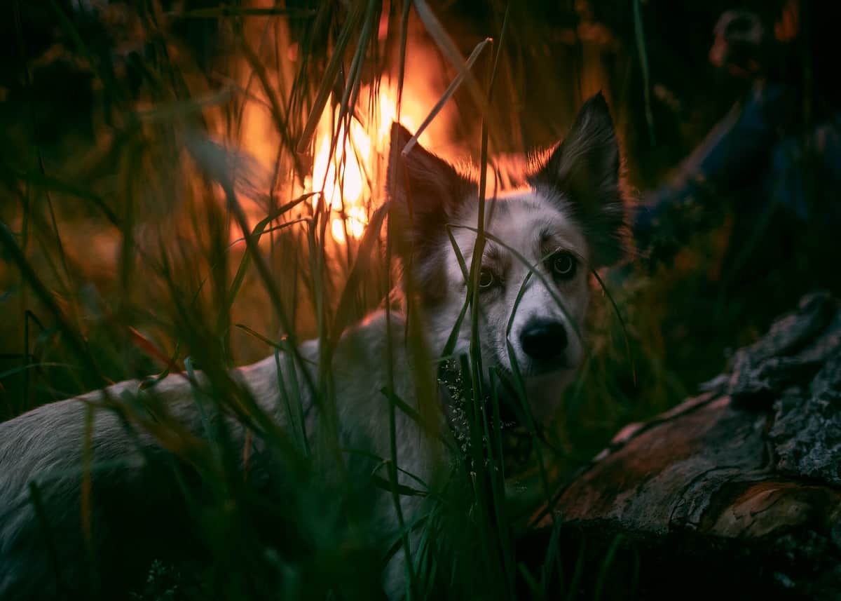 Photo from the article “Creative Conversations with Landscape Photographer Curtis Jones”